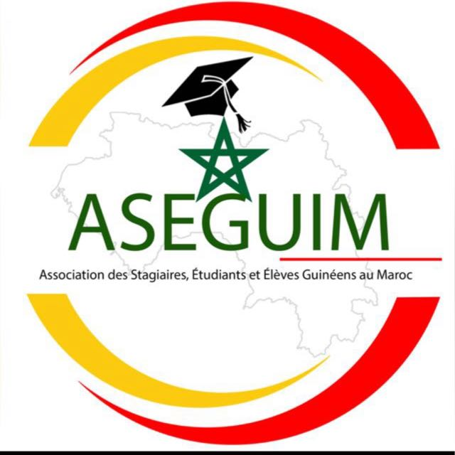 Aseguim Logo